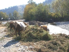 erdélyi utazás, szállás foglalás, hargita
